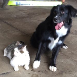 Meet your Posher, Sara